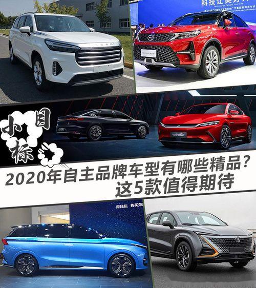 精品国产自,探索我国自主创新的辉煌成就