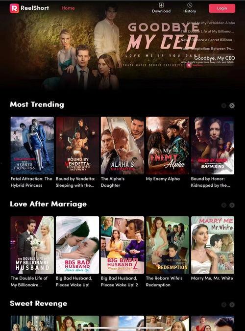 国产在线在线,引领潮流的本土创新力量