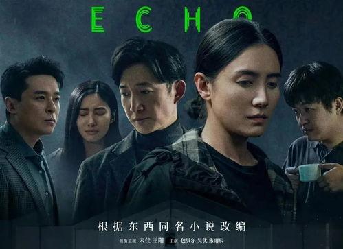 国产精彩久久,穿越时光的温情之旅