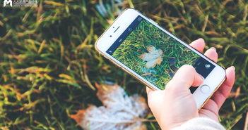 手机看片日韩国产,手机看片，尽享视听盛宴